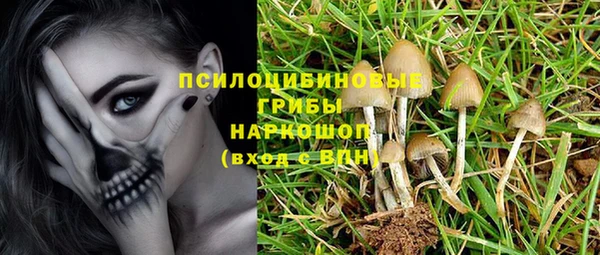 a pvp Алзамай