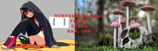 стаф Алексин