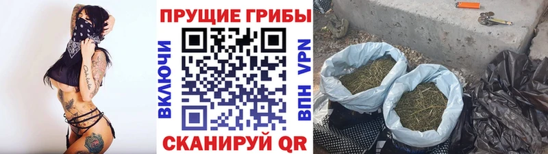 Галлюциногенные грибы прущие грибы Алексин